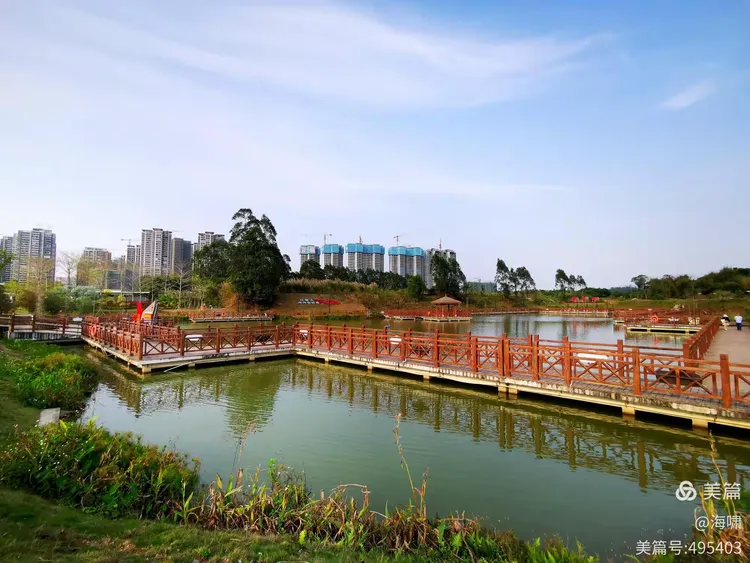 台山市金星湖湿地公园
